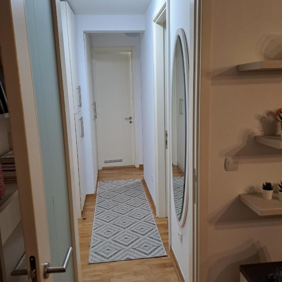 Manhattan Apartman Belvil 贝尔格莱德 外观 照片