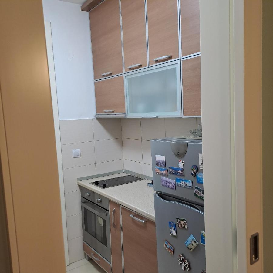 Manhattan Apartman Belvil 贝尔格莱德 外观 照片