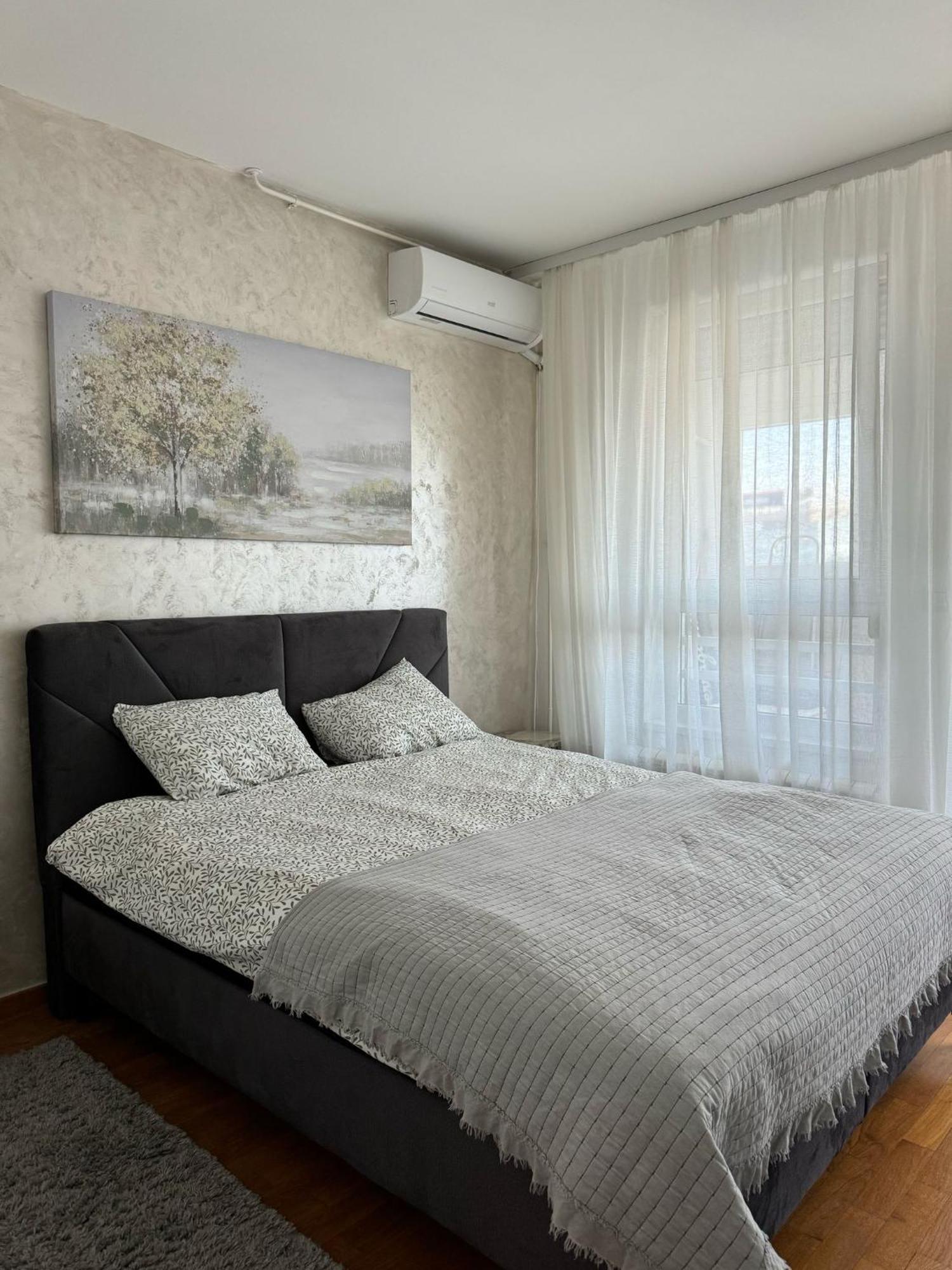 Manhattan Apartman Belvil 贝尔格莱德 外观 照片