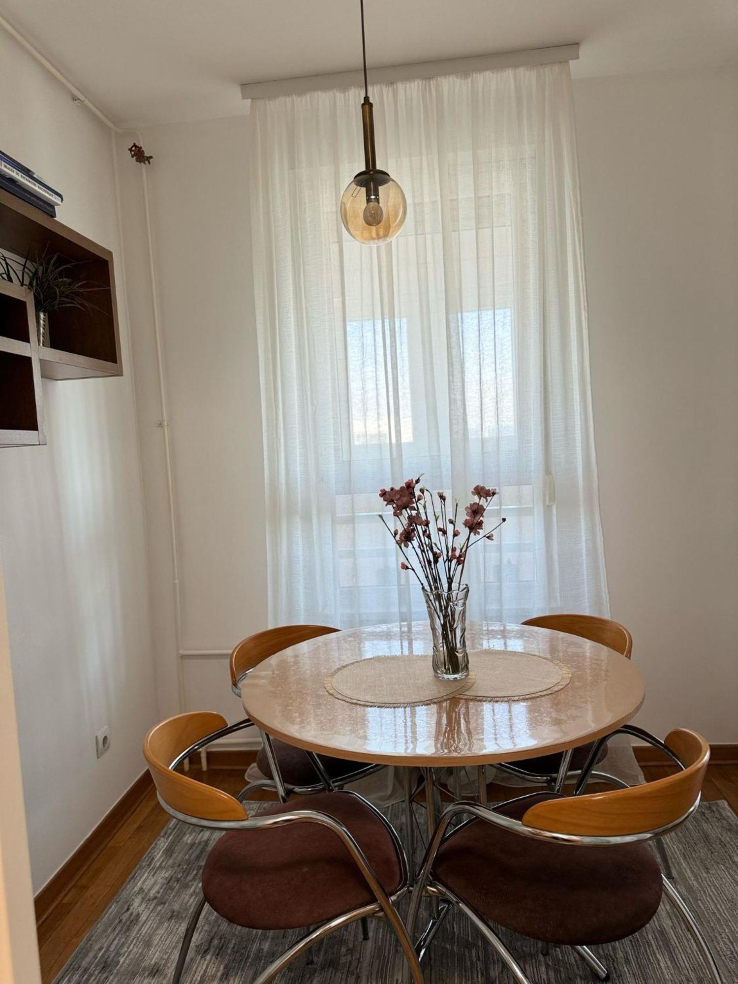 Manhattan Apartman Belvil 贝尔格莱德 外观 照片